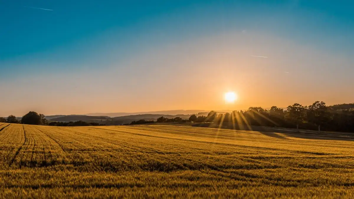 Propriedade rural e crédito agrícola sujeitos a renegociação de dívidas